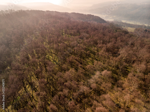 Stunning abstract aerial drone landscape image of early morning shadows through trees in forest in the Peak District in England