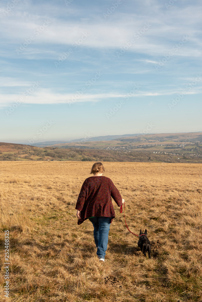 Mature woman and terrier dog walking through a meadow Mature woman and terrier dog walking through a meadow