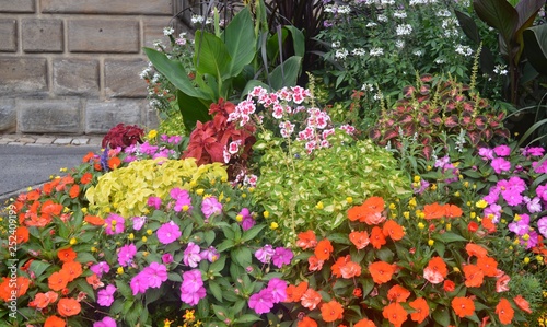 Sommer. Blumen in der Stadt