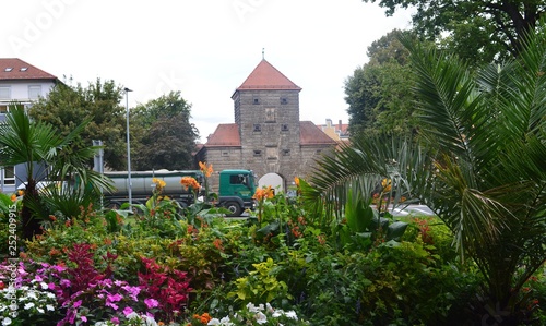 Sommer. Blumen in der Stadt