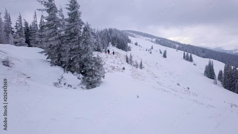 Flying over a group of tourists with backpacks walking on the ridge of the Carpathians in winter. Beautiful nature of winter mountains. Snowy tree branch in a view of the winter forest. Aerial footage Flying over a group of tourists with backpacks walking on the ridge of the Carpathians in winter. Beautiful nature of winter mountains. Snowy tree branch in a view of the winter forest. Aerial footage