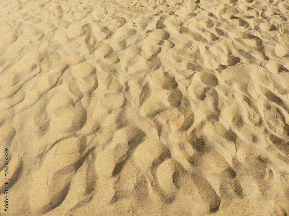 Fototapeta premium sand beach texture