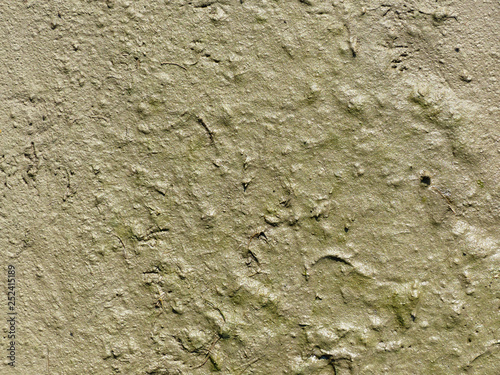 mud texture
