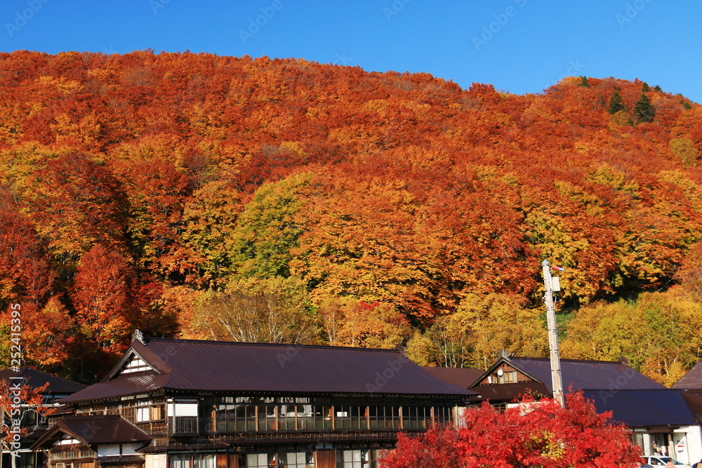 Obraz premium 日本百名山八甲田山 酸ヶ湯の紅葉