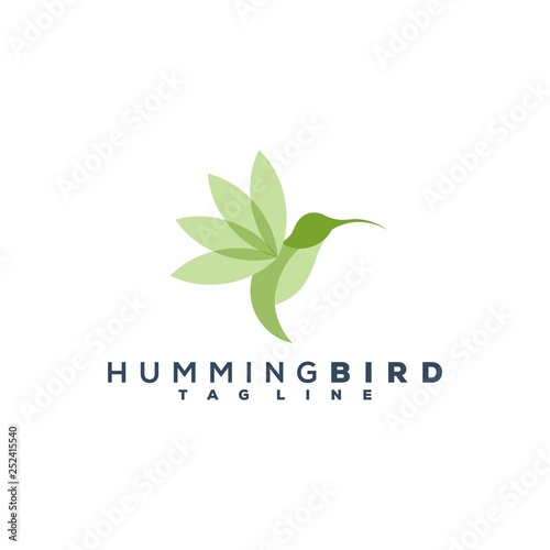 hummingbird logo design