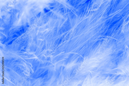 Macro of pastel bird fluffy feathers in soft color and blur style for background © apimook