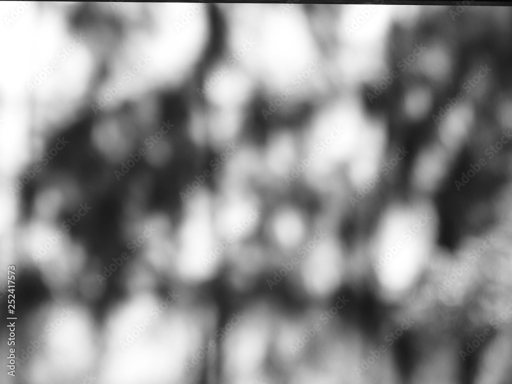 Beautiful black and white blur background in nature Stock Photo | Adobe  Stock