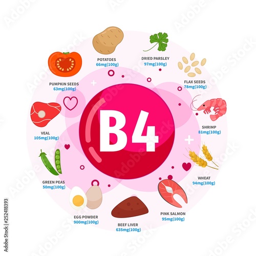 Vector poster products with vitamin B4. Cartoon illustrations of products. 