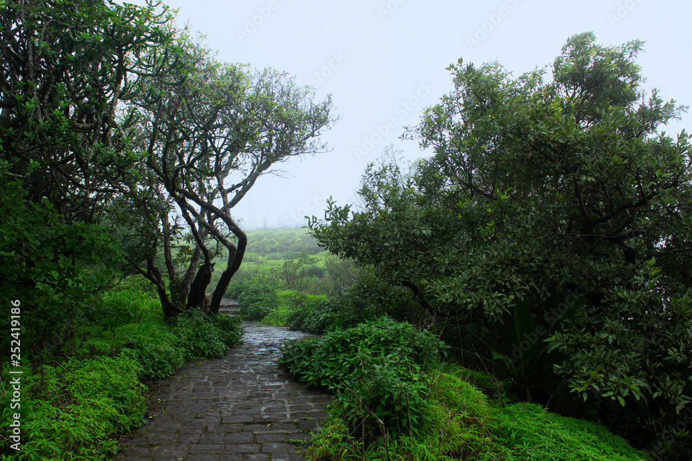 Walking track seen from Sinhagad fort, Maharashtra, Pune. Walking track seen from Sinhagad fort, Maharashtra, Pune.