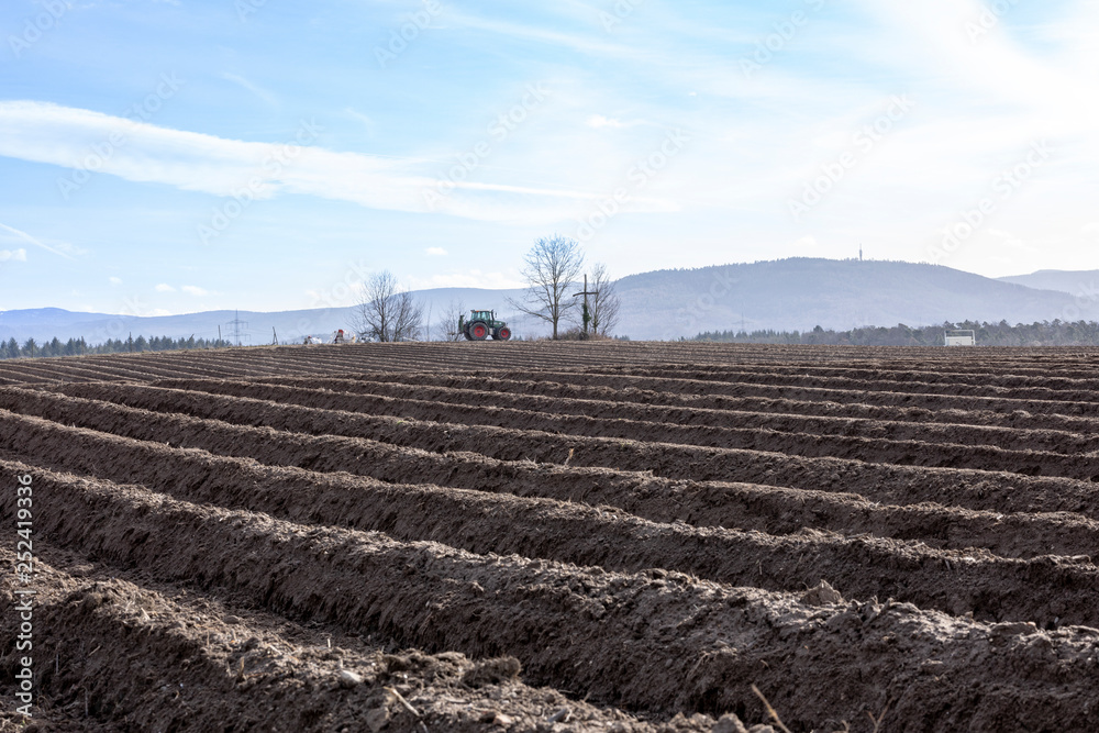 Obraz premium Spargelfeld mit Traktor im Hintergrund