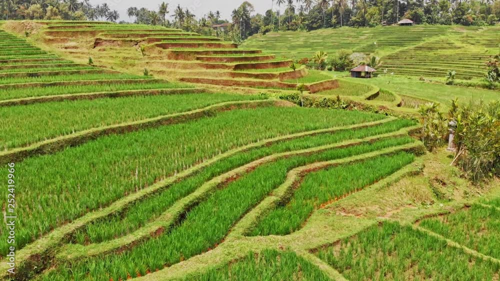 Exquisite view of the rice terraces Exquisite view of the rice terraces