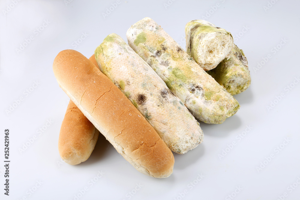 Mildew on bread. Spoiled foods that are harmful to consumption Mildew on bread. Spoiled foods that are harmful to consumption