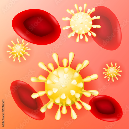 norovirus and red blood cells in the blood vessel.