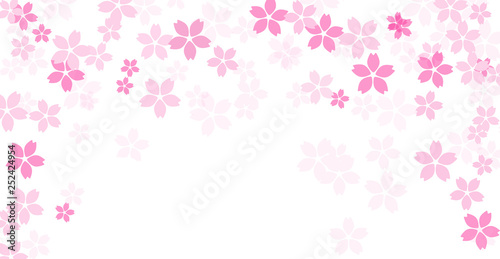 背景素材　桜