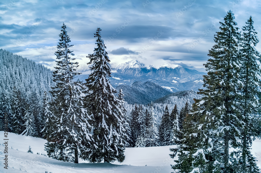 Winter Christmas wonderland landscape with mountains and trees covered in snow. View of Bucegi mountains, Brasov, Romania.