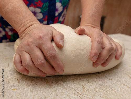 Woman kneads dough with hands in the kitchen © schankz