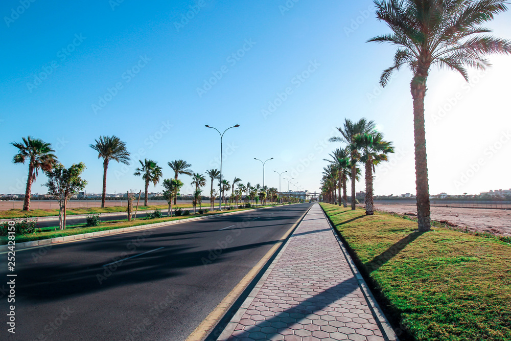 Roads with palm trees near HURGHADA International Airport, Hurghada, Egypt