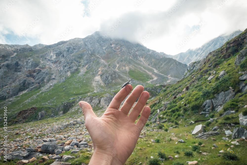 Naklejka premium The mountains. Height. beauty