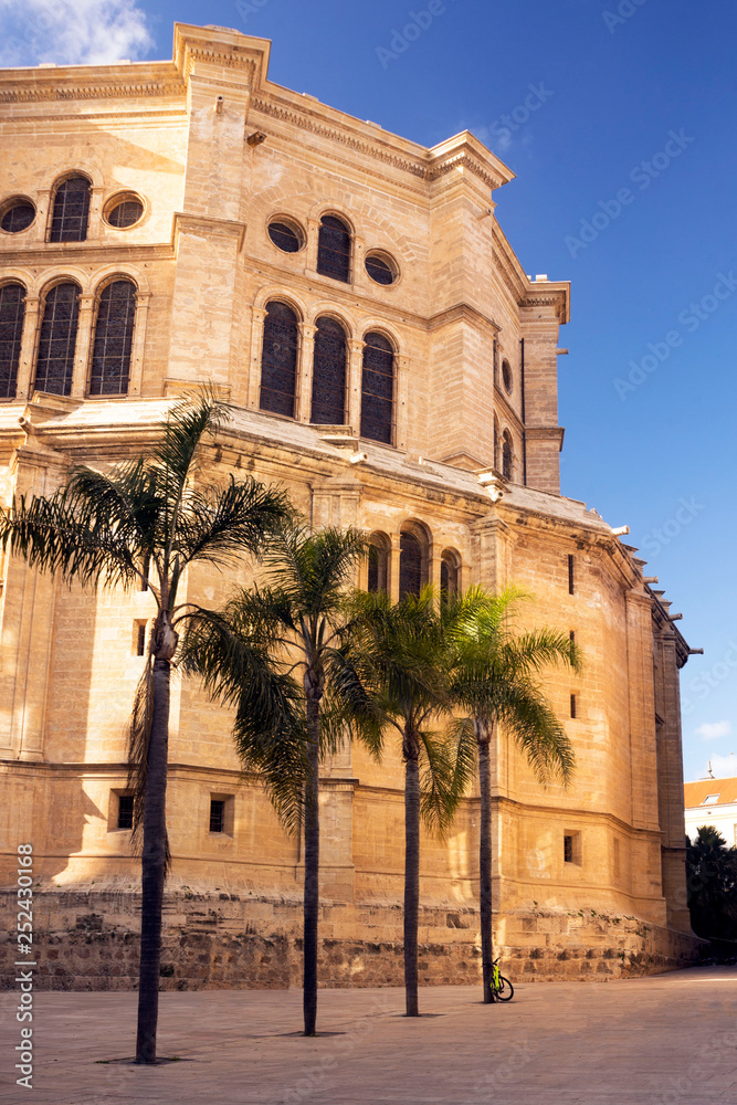 Cathedral Catedral de la Encarnacon, palm trees and square in the rays of the setting sun. Malaga, Spain. Costa del Sol, Andalusia