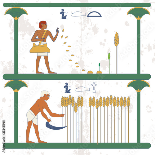 Ancient egypt background. Man sows wheat on the field. A man reaps a wheat crop on the field. Historical background. Ancient people