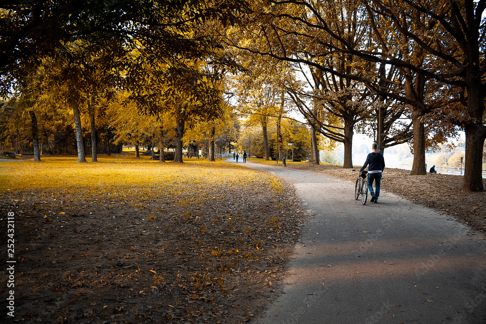 Fototapeta premium Parco del Valentino, Vista