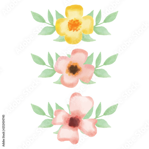 vector illustration flower in watercolor style
