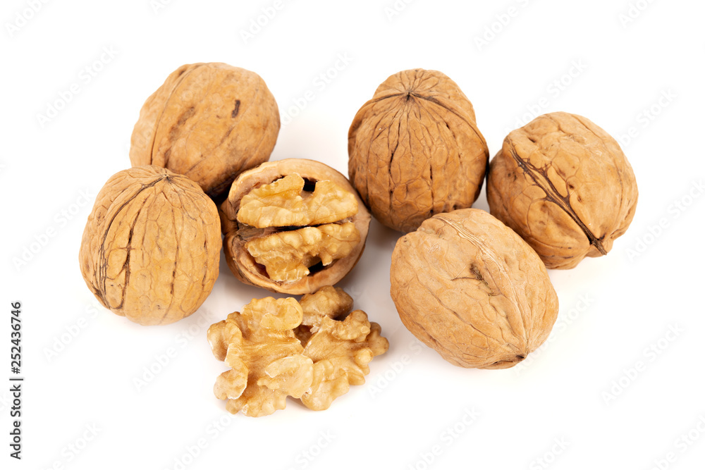 Walnut isolated on white background Walnut isolated on white background