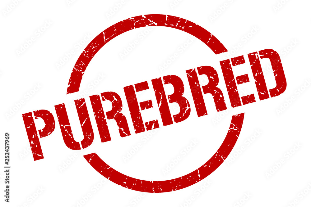 purebred stamp purebred stamp