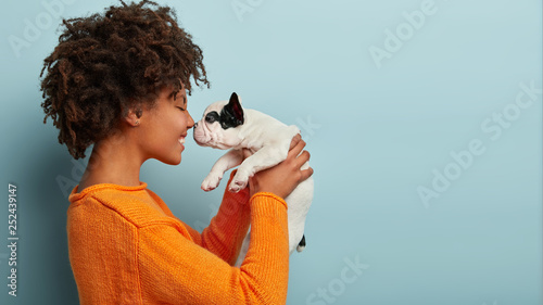 Sideways shot of pleased charming young woman has dark skin, curly hairstyle, touches noses with favourite dog, plays with french bulldog, dressed in orange jumper, isolated over blue background photo
