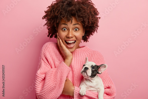 Sticker Emotional happy surprised woman holds puppy french bulldog, have walk together and go shopping, amazed to have discounts on dogs food in supermarket, isolated over pink background