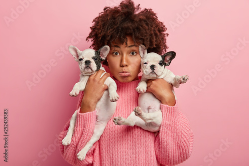 Sad surprised Afro American woman with small sized dogs, upset after vets visit, finds out about some health problems, wears oversized jumper, isolated over pink background, plays with puppies