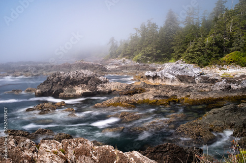 Wild Pacific Rim Trail, Ucluelet, on the Ucluelet Peninsula on the west coast of Vancouver Island in British Columbia, Canada.