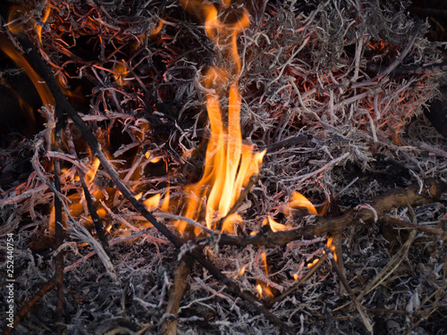 Burning dry twigs