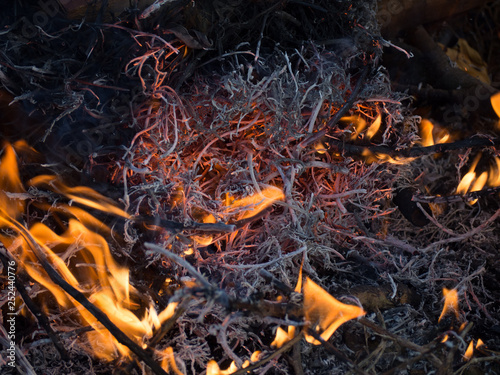 Burning dry twigs