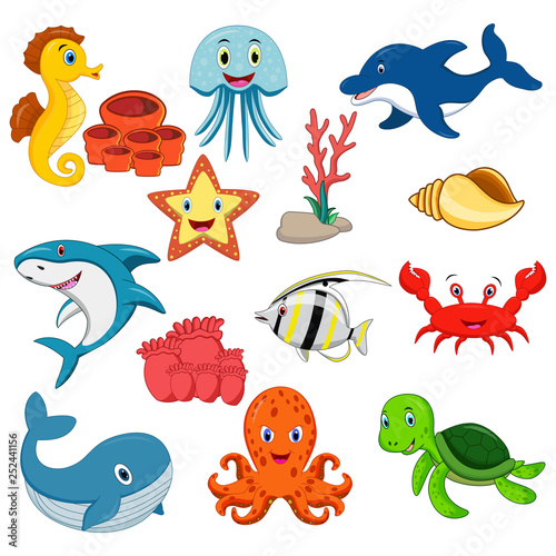 Sea animals cartoon set photo