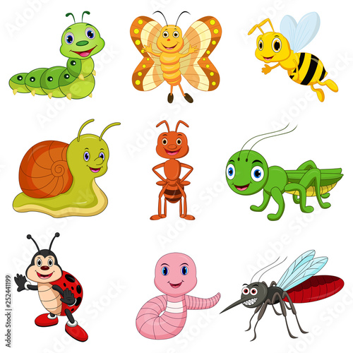 Set of cartoon insects