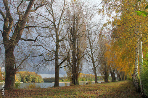 Herbststimmung