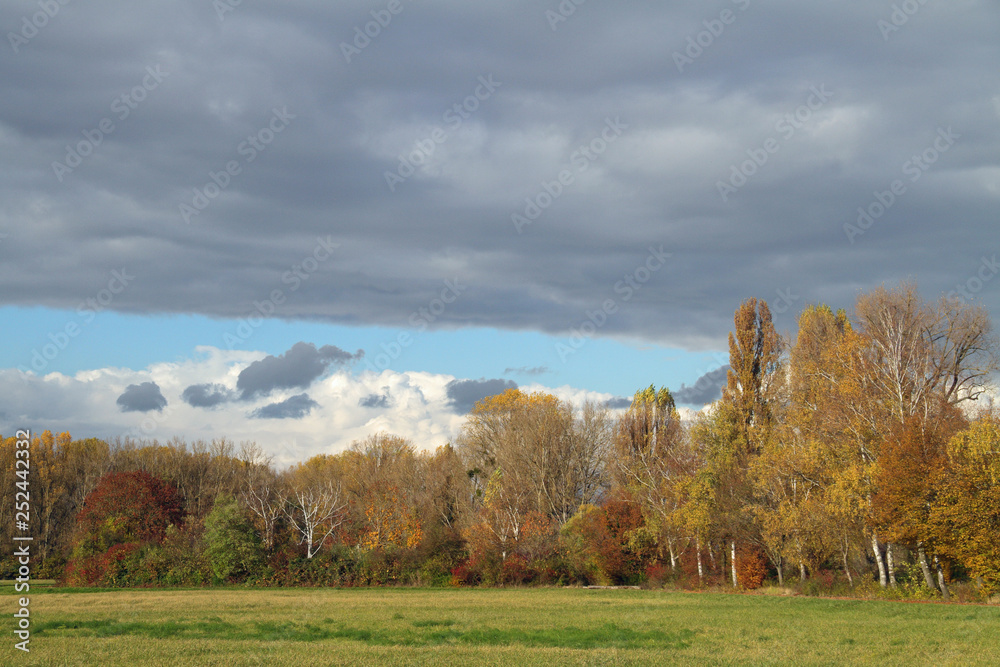 Herbststimmung Herbststimmung