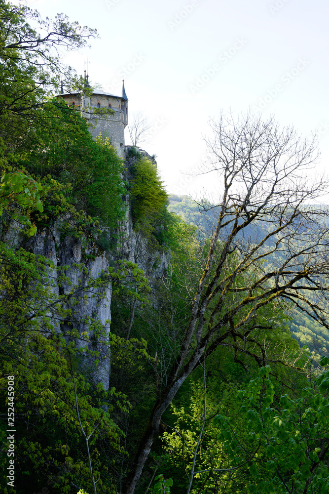 tree growing from cliff limestone hills