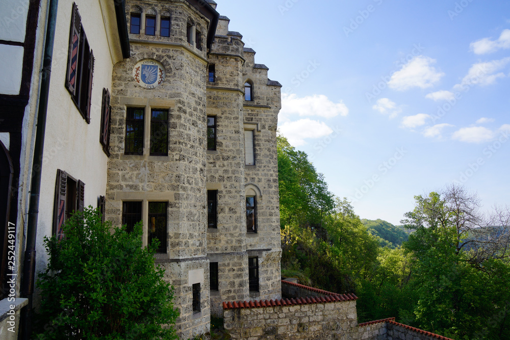 detail of lichtenstein castle hillside