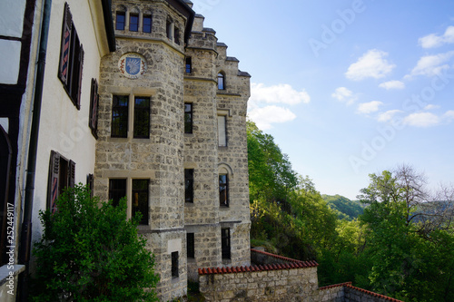 detail of lichtenstein castle hillside
