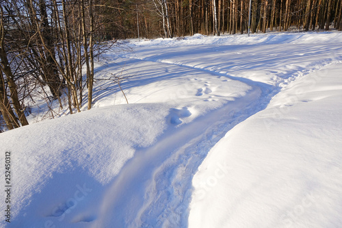 Footpath on the snow in the winter forest. Sunny day. Winter background.