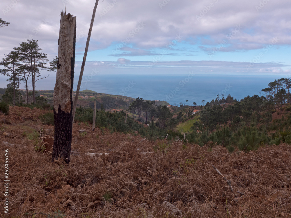 Wanderung im Westen von Madeira mit Blick auf den Atlantischen Ozean. Wanderung im Westen von Madeira mit Blick auf den Atlantischen Ozean.