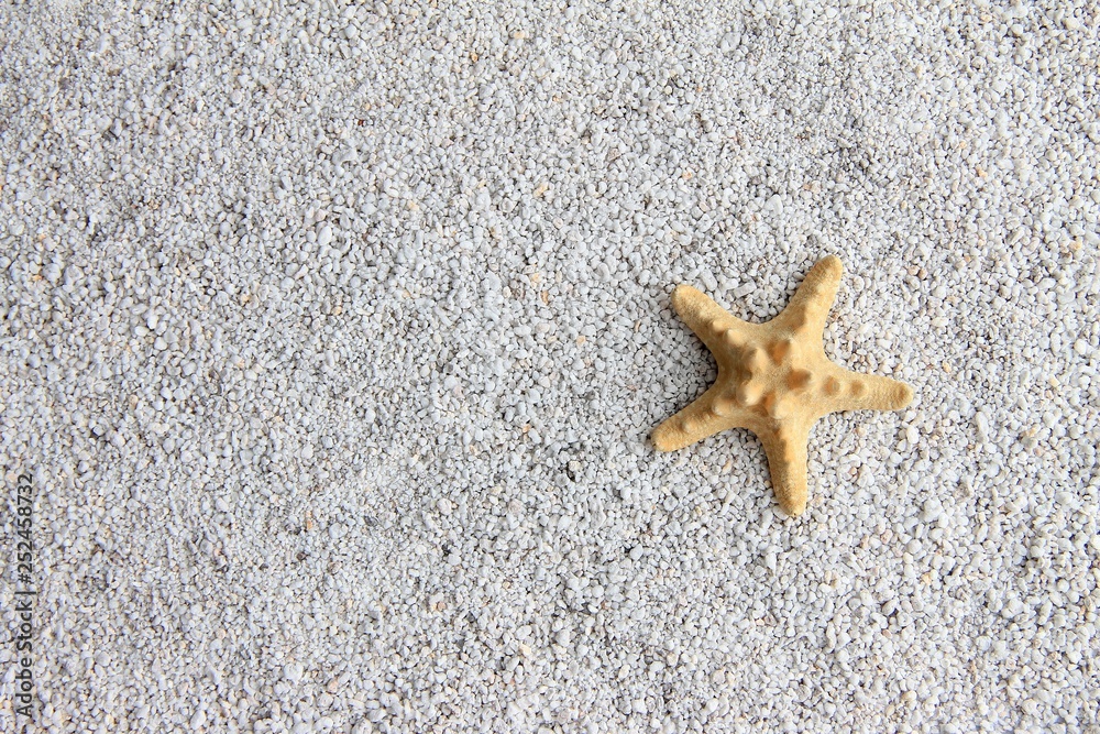 The yellow starfish is on small, light gray pebbles The yellow starfish is on small, light gray pebbles