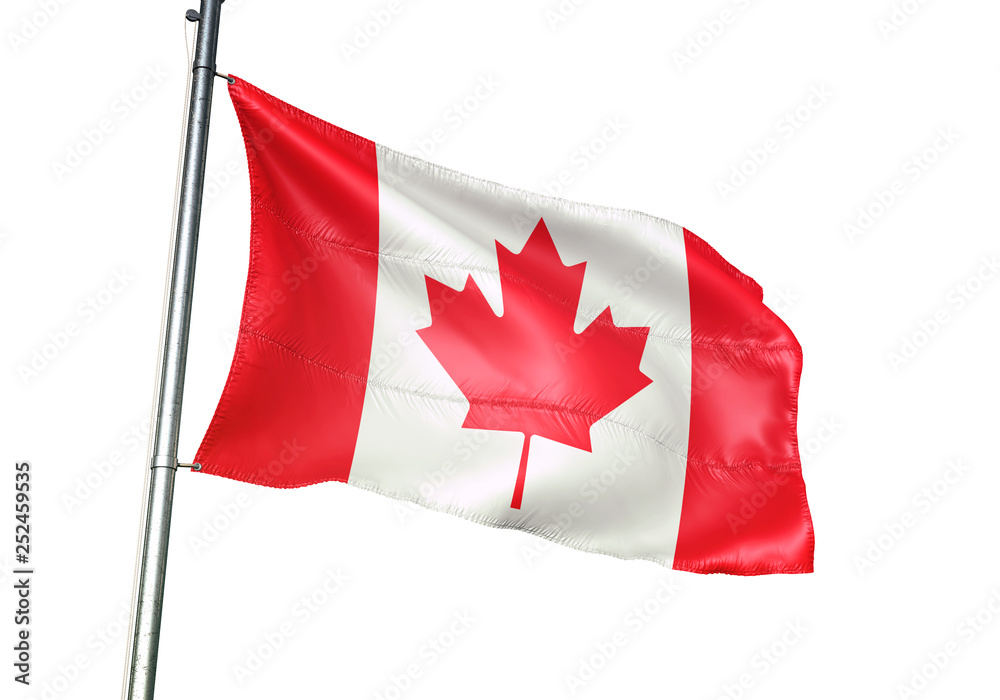 Canada flag waving isolated white background 3D illustration Stock ...