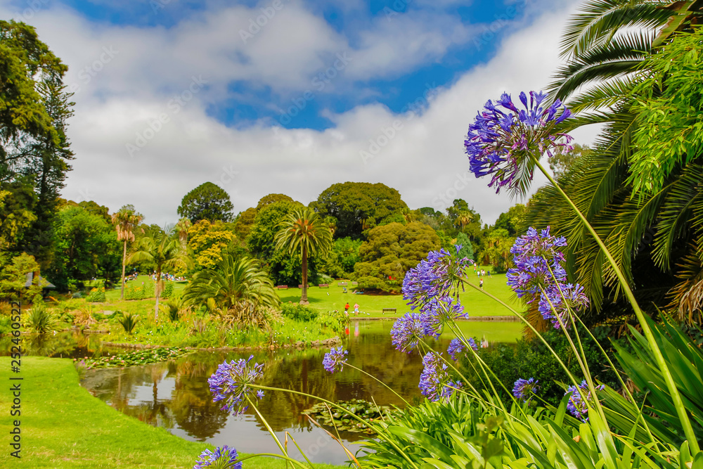 Obraz premium melbourne botanical gardens