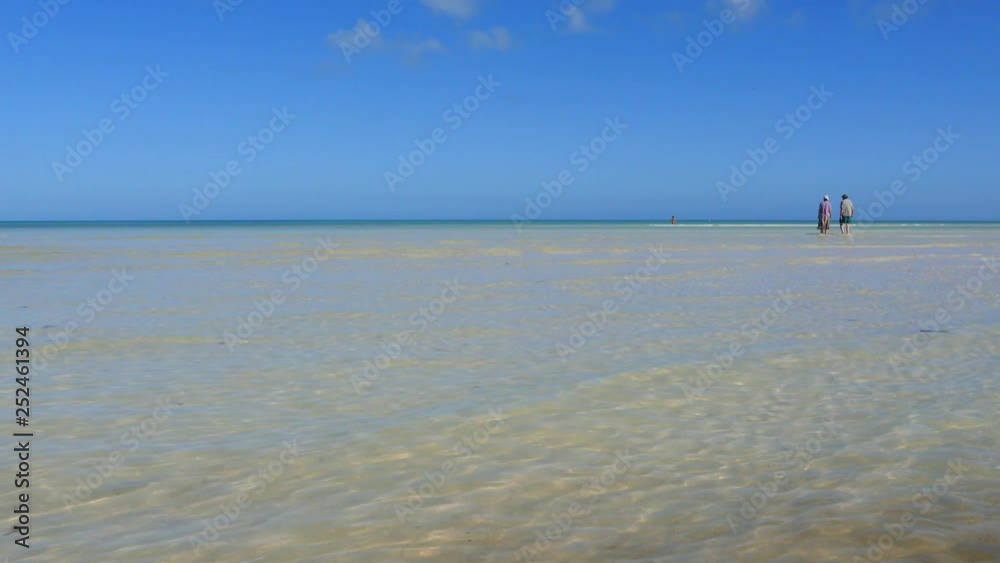 Beautiful sandy beach, Holbox, Mexico Beautiful sandy beach, Holbox, Mexico