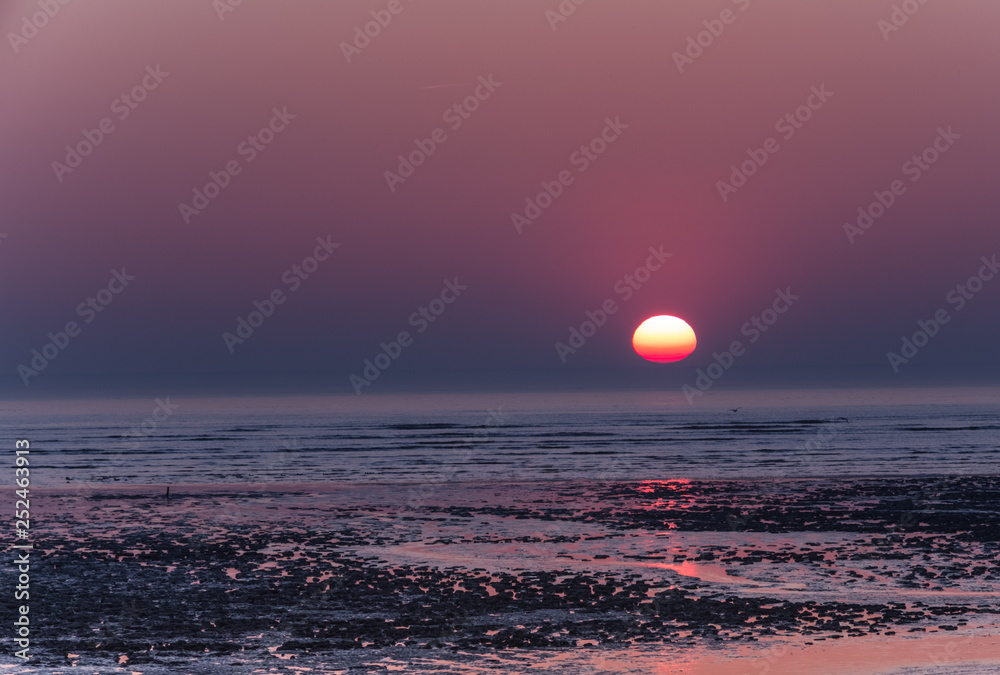 coucher de soleil sur la lagune charentaise