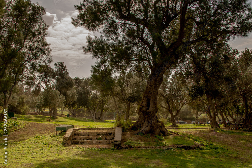 Sunny day off in the city park. Ashkelon.