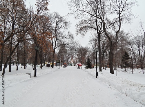 City Park of Tambov